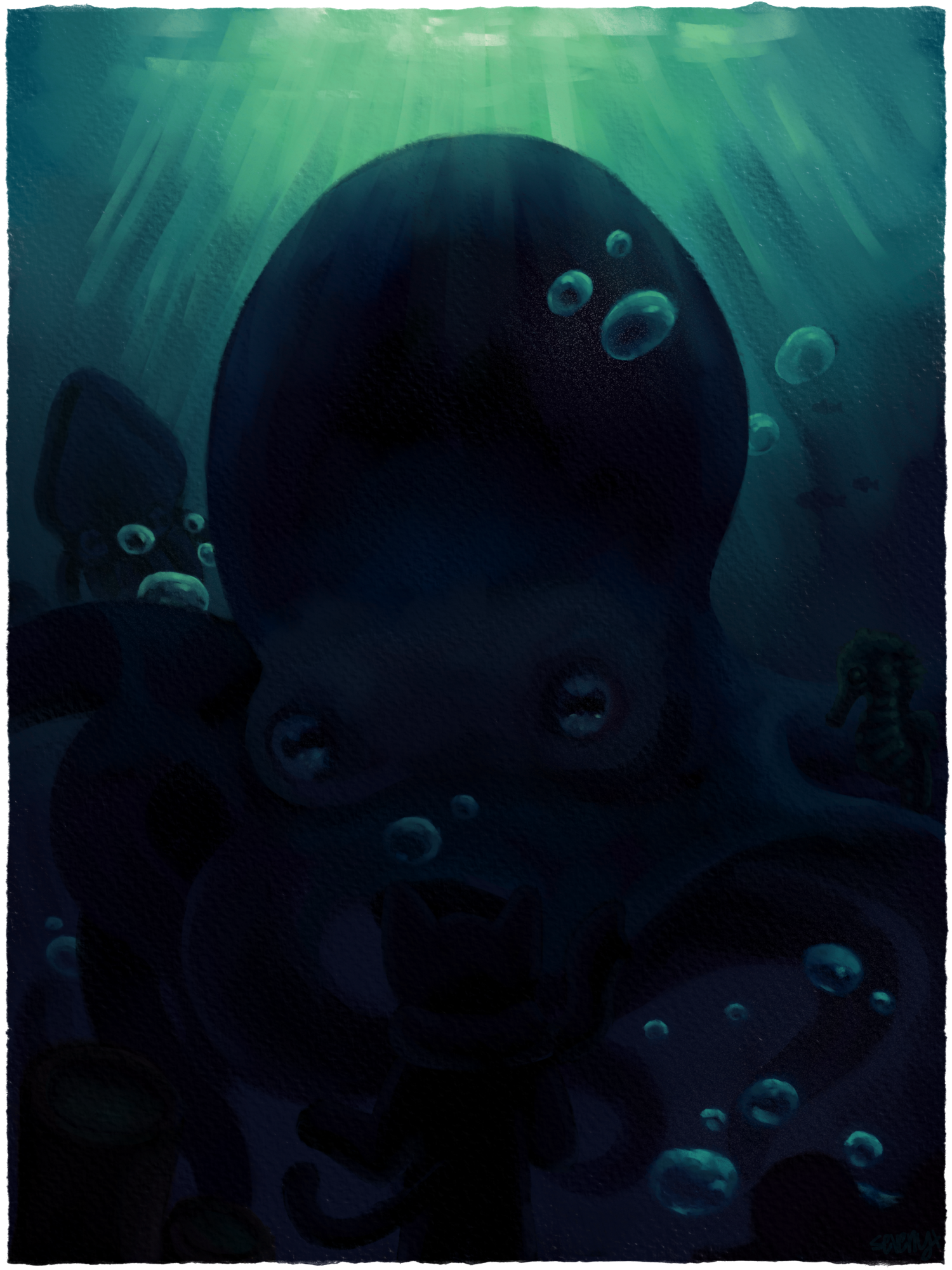 Dark octopus